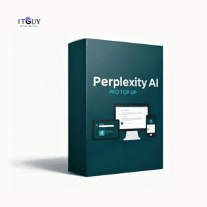 Perplexity Pro