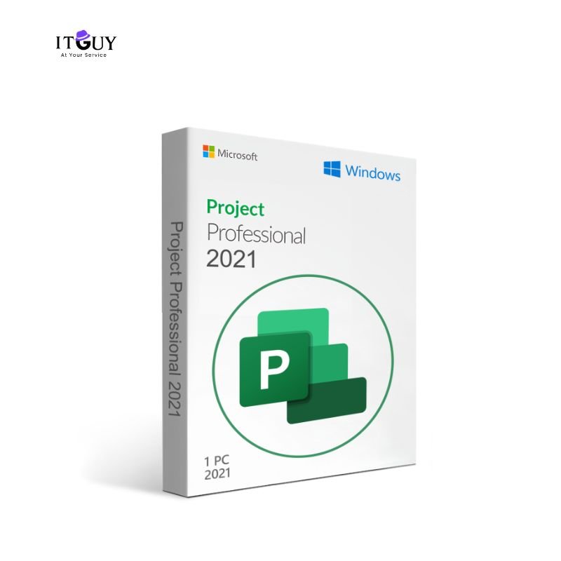 Microsoft Project Professional 2021 - IT Guy