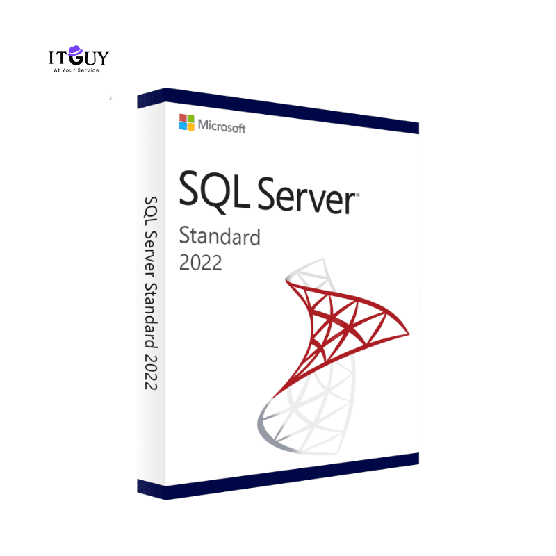 Windows SQL Server 2022 Standard - IT Guy