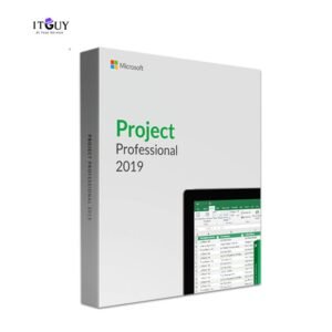 Microsoft Project Professional 2019 - IT Guy